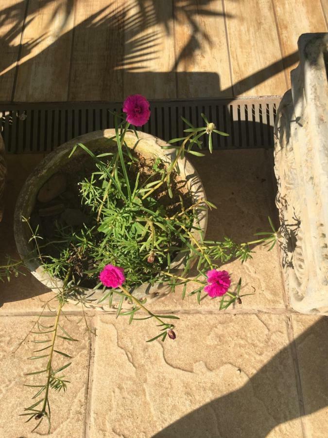 Pousada Florestinha Tamoios Ngoại thất bức ảnh